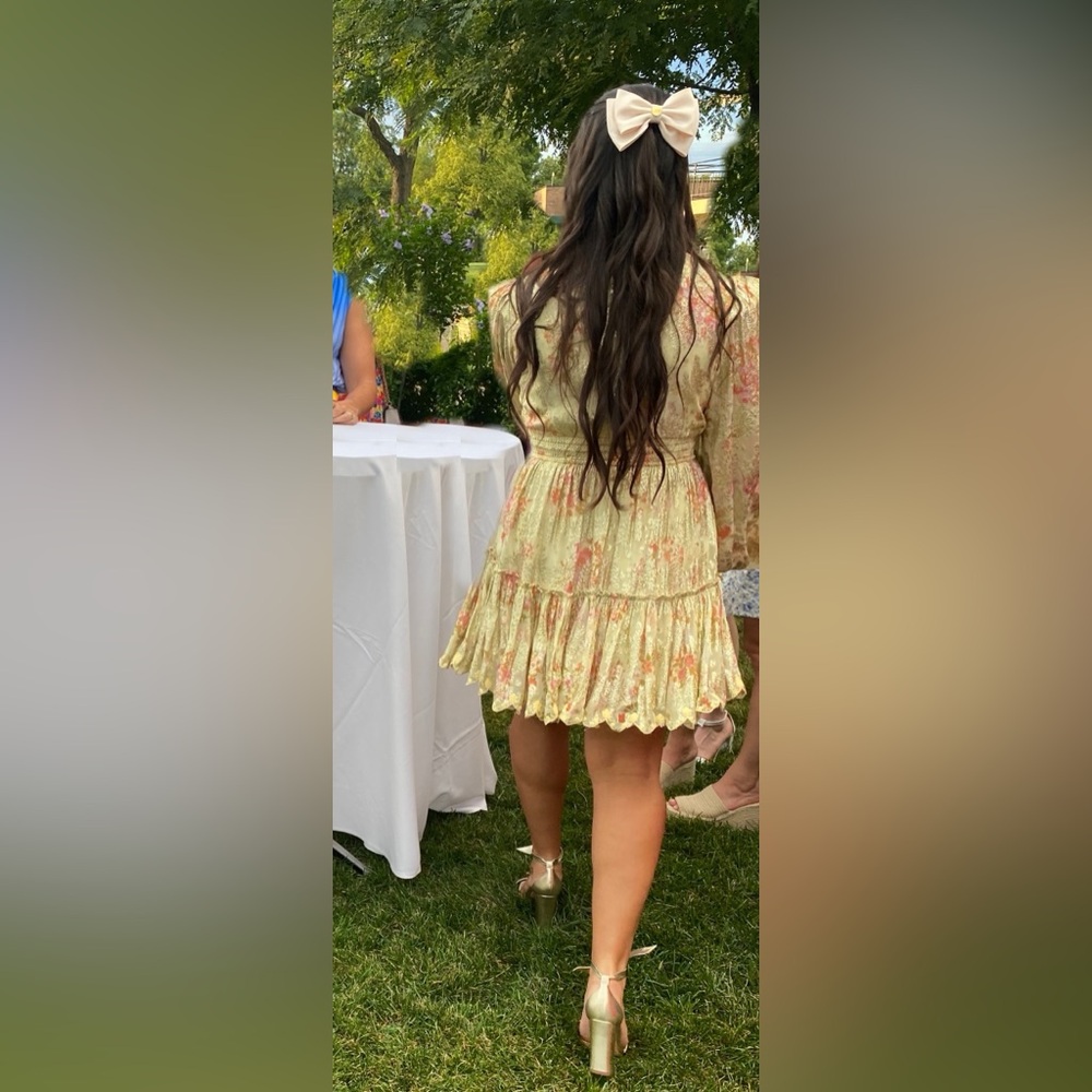 Hemant & Nandita Livia Mini Dress - Picture 9 of 10